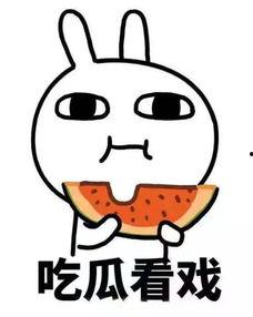 沙雕动画吃瓜系统娱乐圈,沙雕动画吃瓜系统带你笑看风云变幻